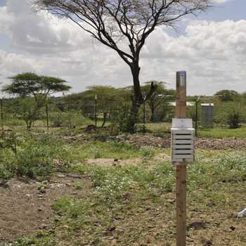 NutriAid Senegal