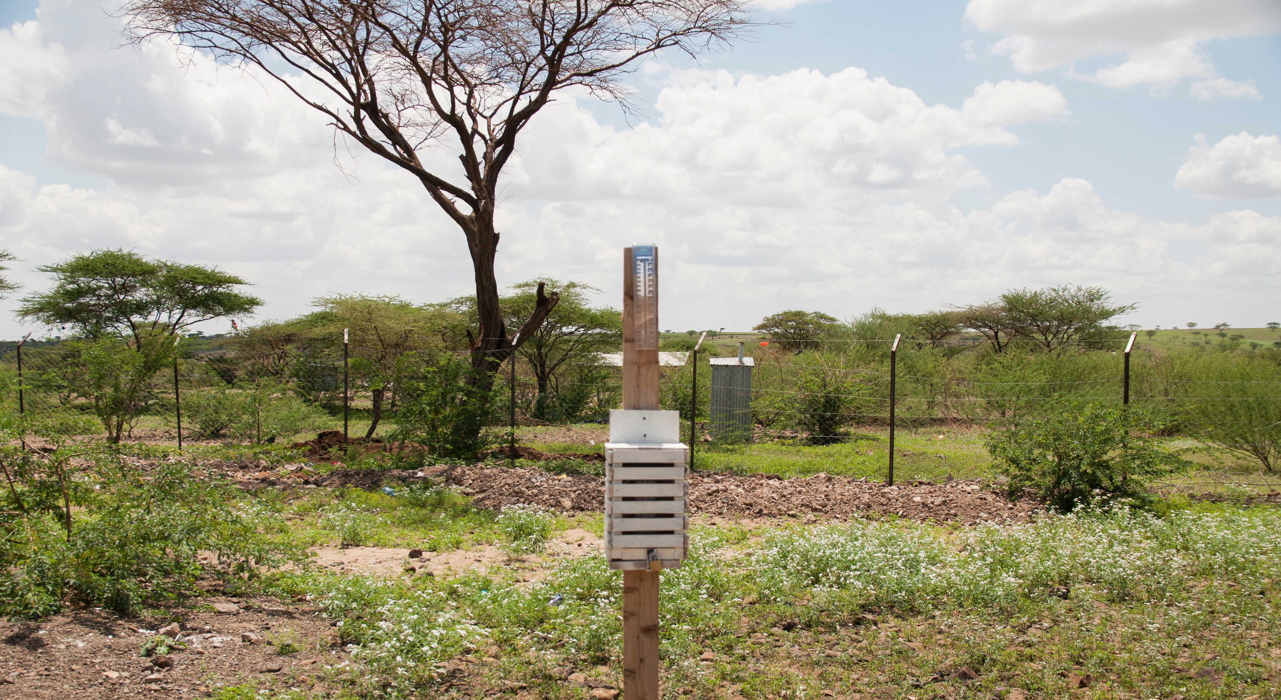 June 2020: Monthly Rainfall Analysis, North Horr Sub-County (KENYA)